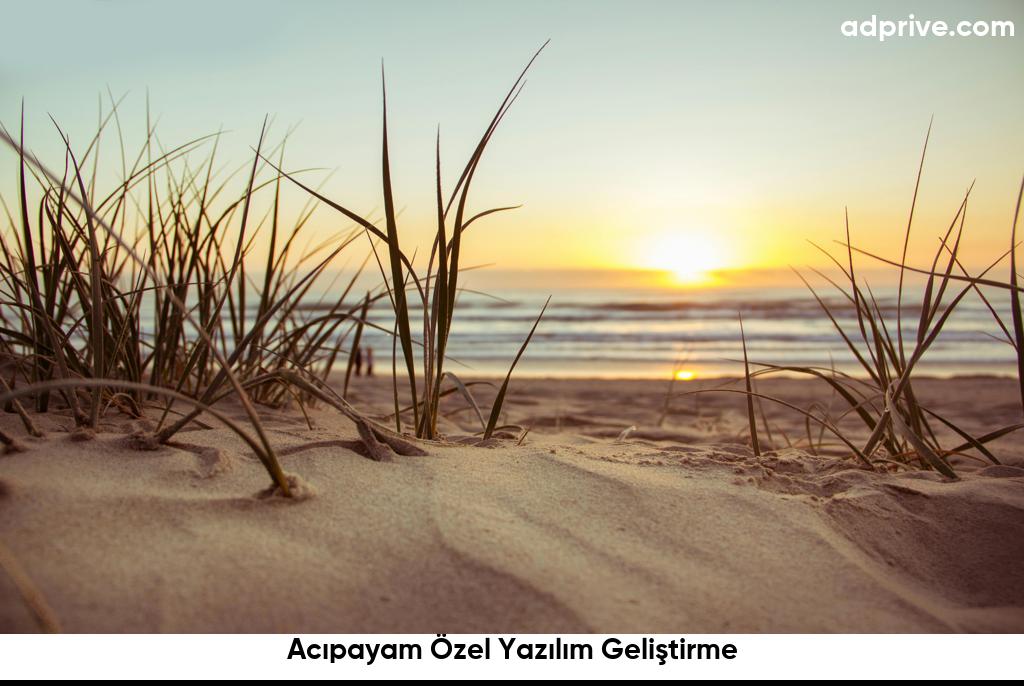 Acıpayam Özel Yazılım Geliştirme6