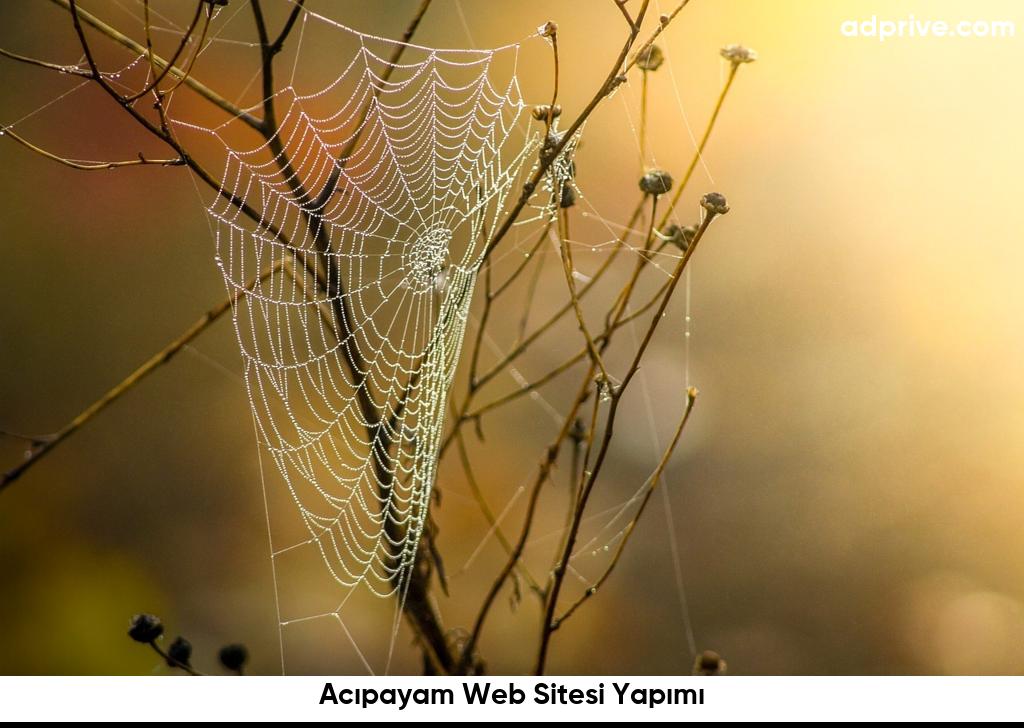 Acıpayam Web Sitesi Yapımı6