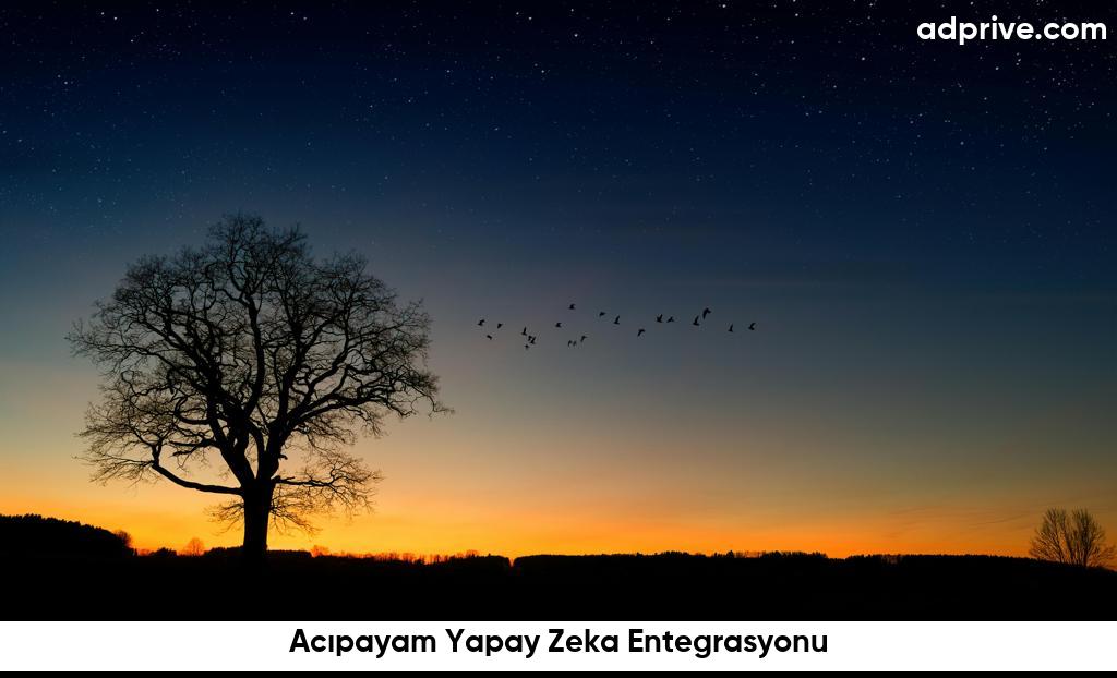 Acıpayam Yapay Zeka Entegrasyonu6