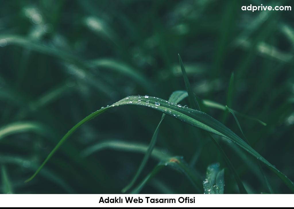 Adaklı Web Tasarım Ofisi6