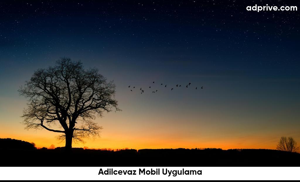 Adilcevaz Mobil Uygulama6