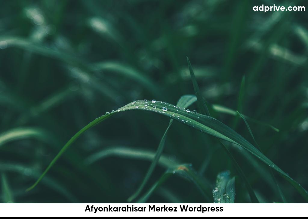 Afyonkarahisar Merkez Wordpress6