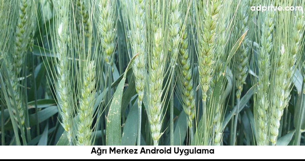 Ağrı Merkez Android Uygulama6