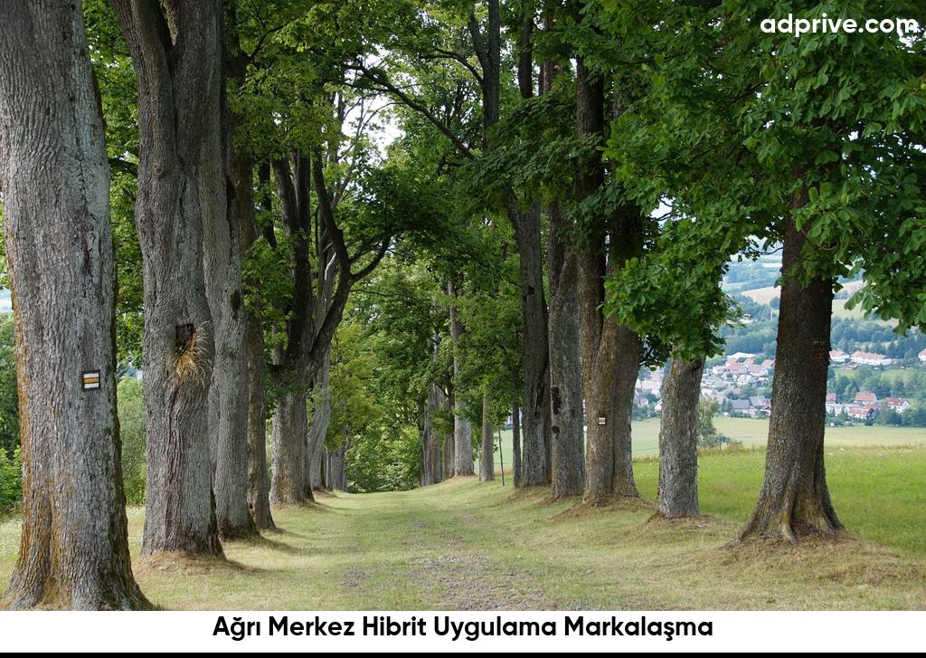 Ağrı Merkez Hibrit Uygulama Markalaşma6