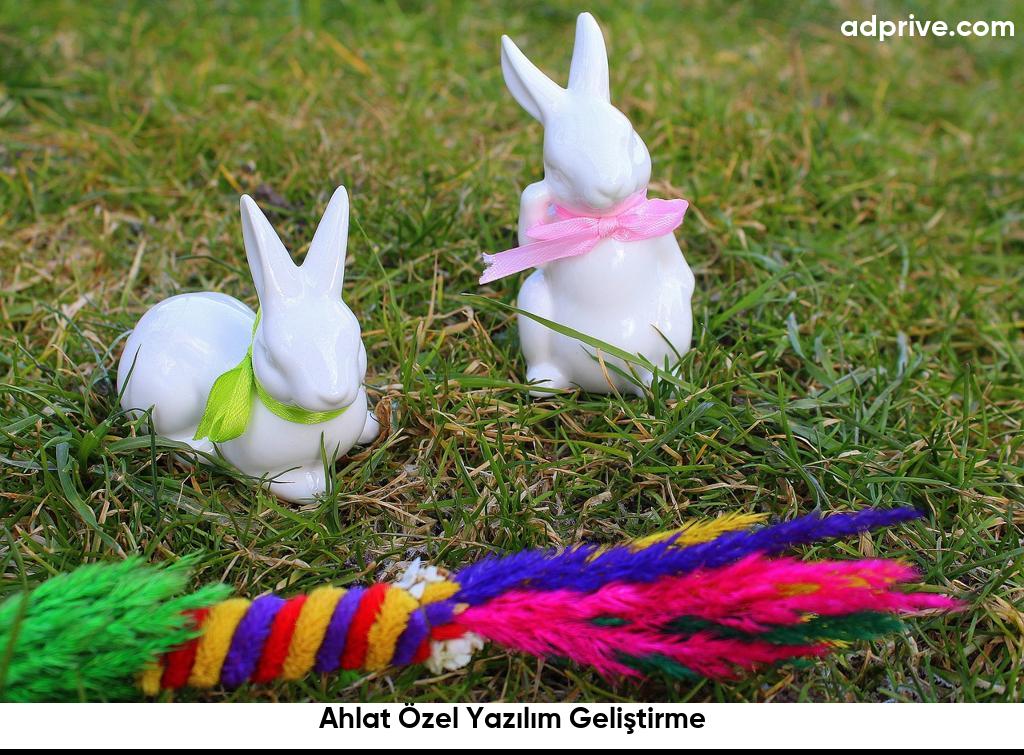 Ahlat Özel Yazılım Geliştirme6