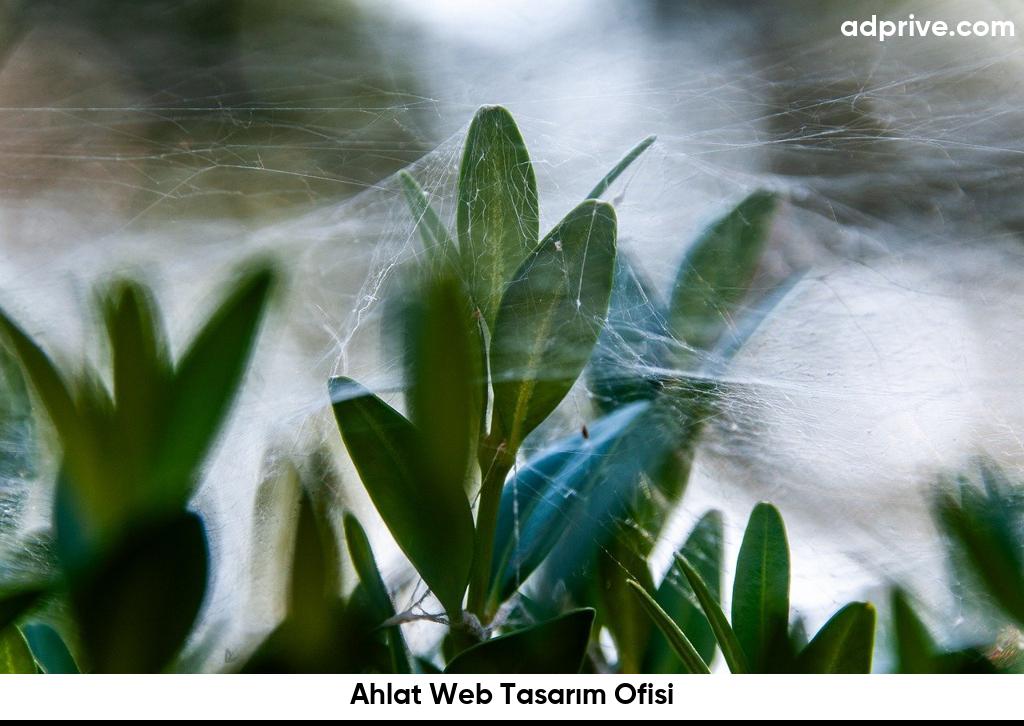 Ahlat Web Tasarım Ofisi6