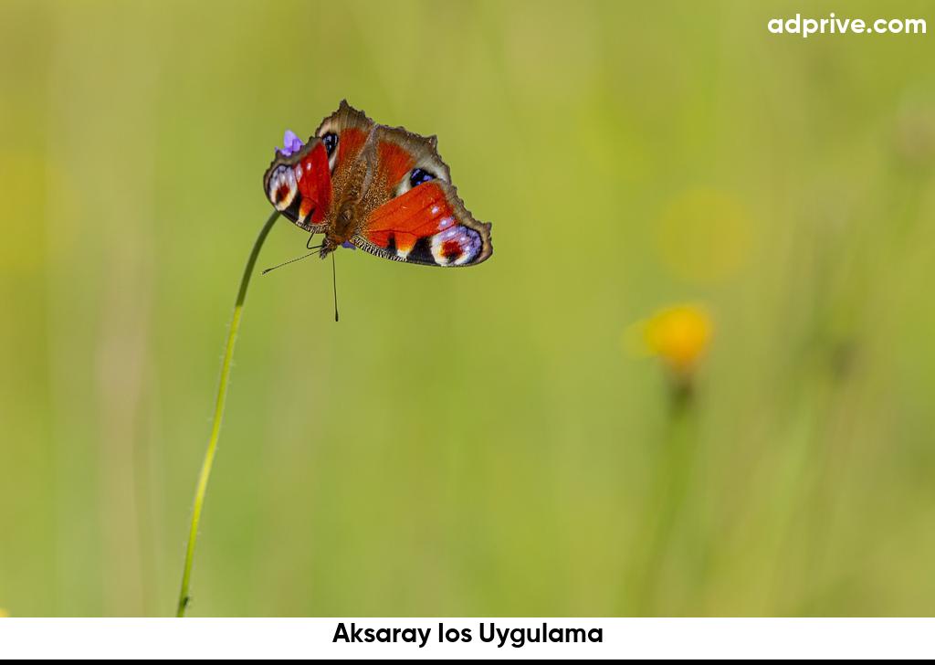 Aksaray Ios Uygulama6