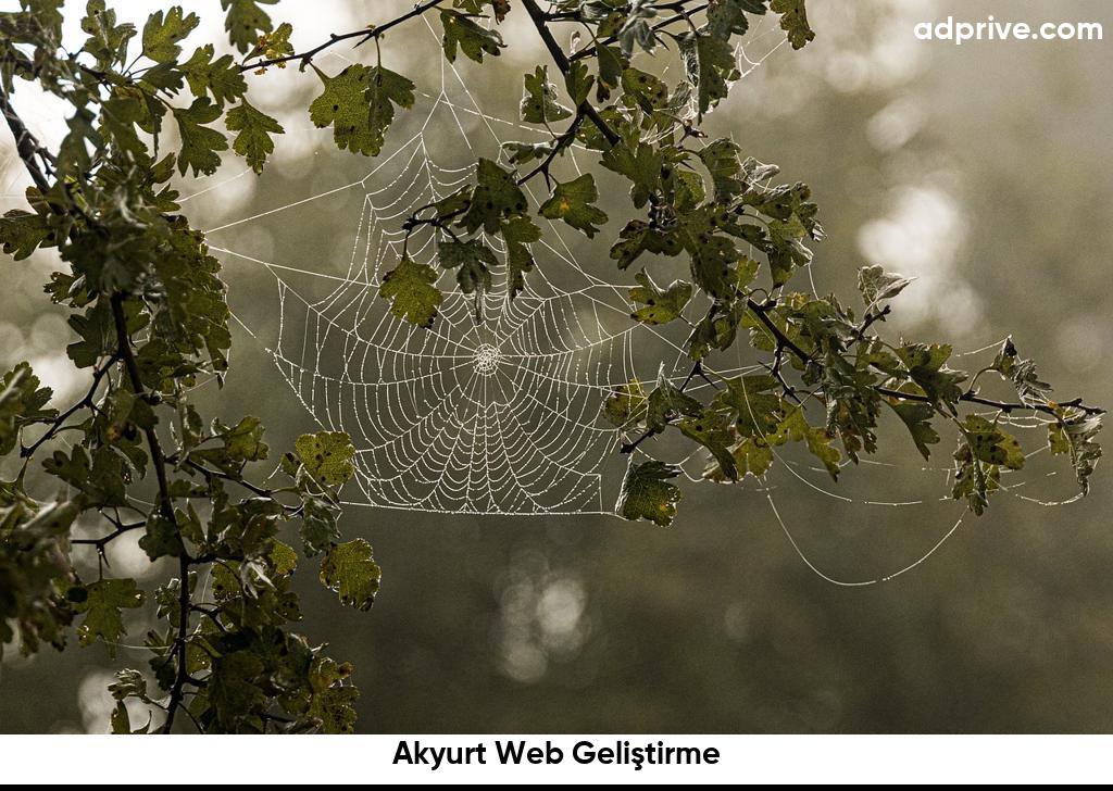 Akyurt Web Geliştirme6