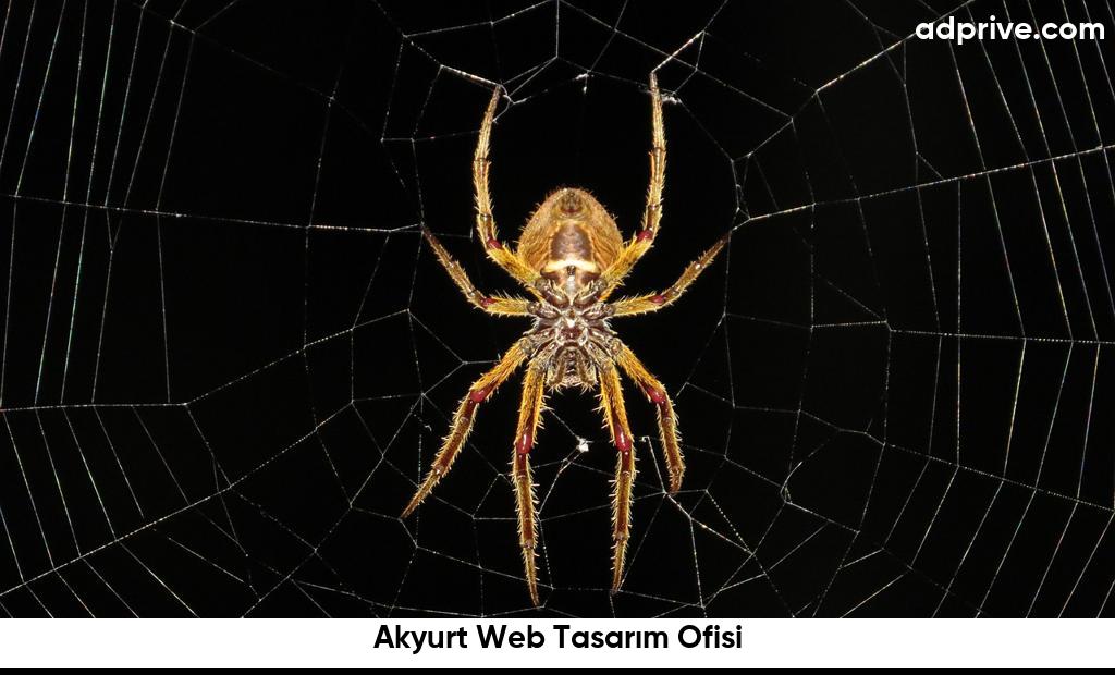 Akyurt Web Tasarım Ofisi6