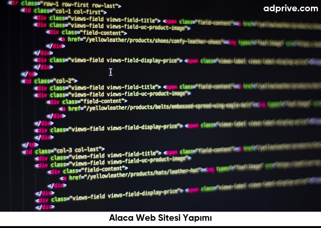 Alaca Web Sitesi Yapımı6