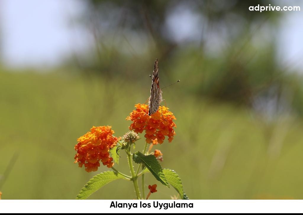 Alanya Ios Uygulama6