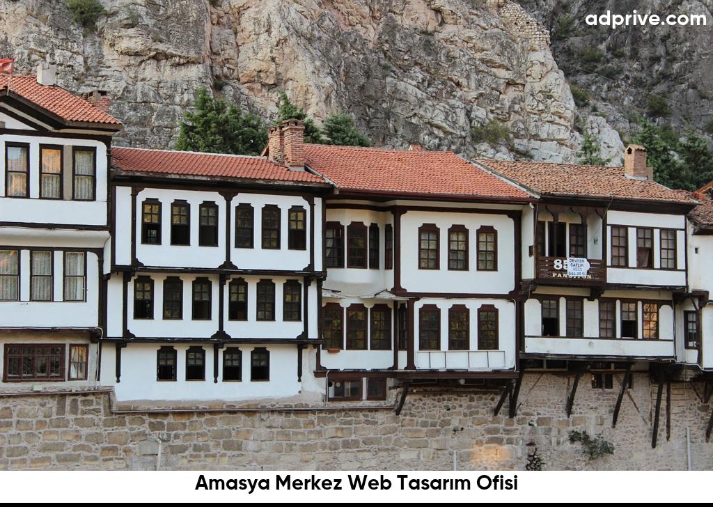 Amasya Merkez Web Tasarım Ofisi6