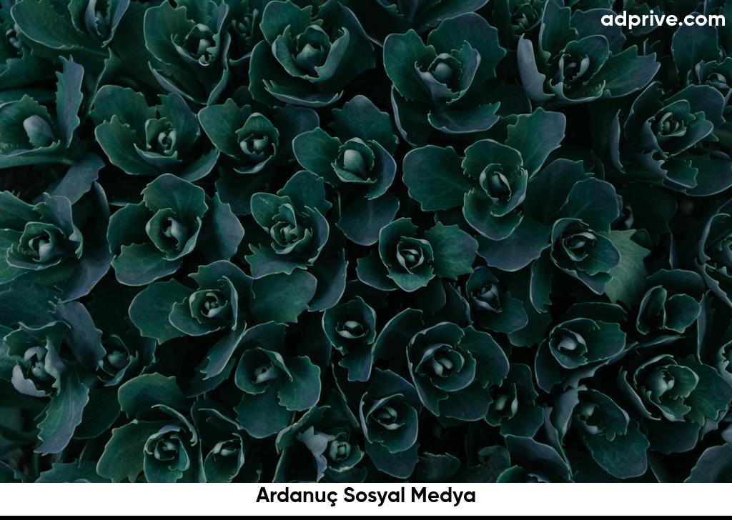 Ardanuç Sosyal Medya6