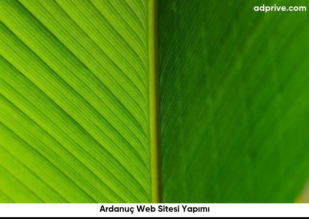 Ardanuç Web Sitesi Yapımı6