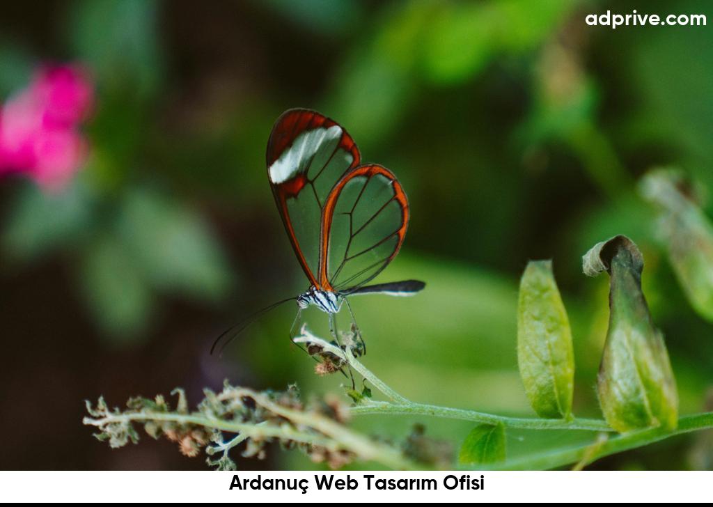 Ardanuç Web Tasarım Ofisi6