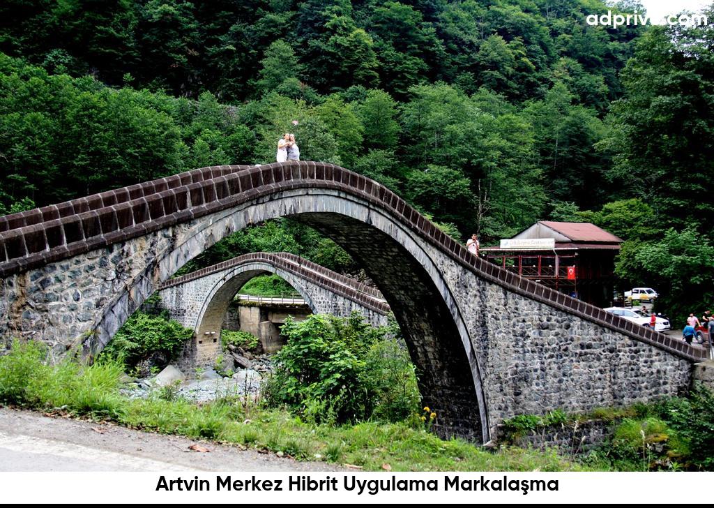 Artvin Merkez Hibrit Uygulama Markalaşma6