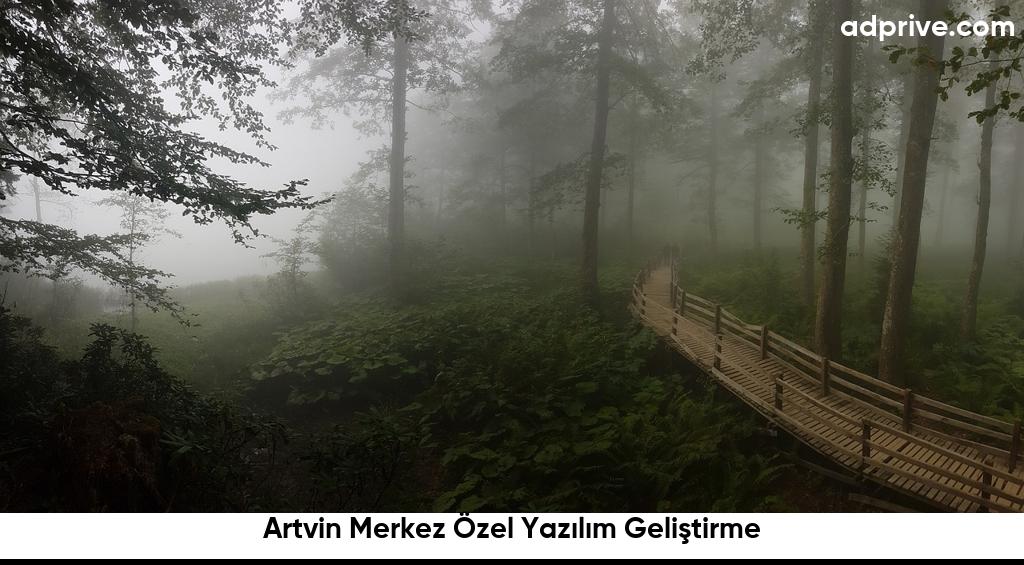 Artvin Merkez Özel Yazılım Geliştirme6