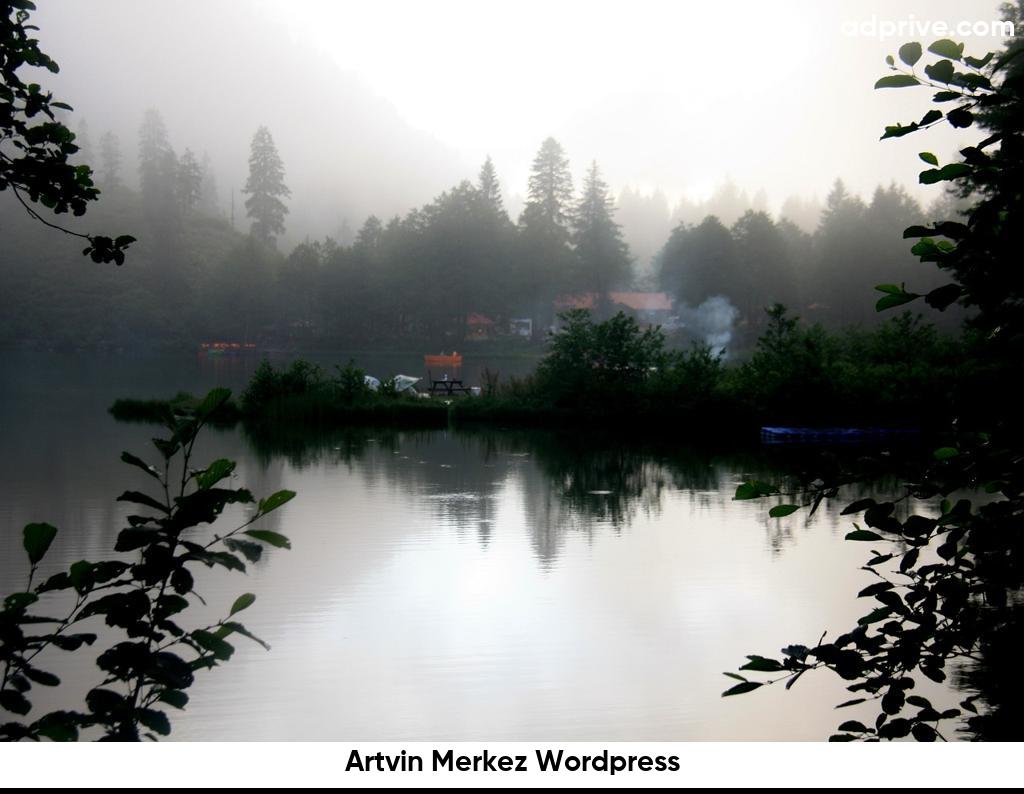 Artvin Merkez Wordpress6