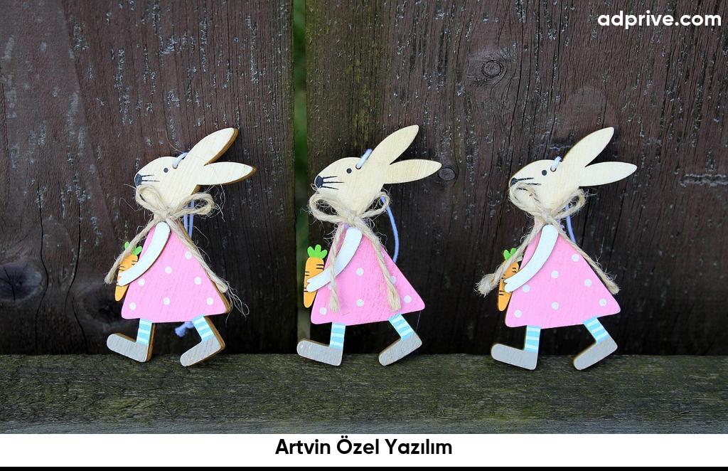 Artvin Ozel Yazilim6