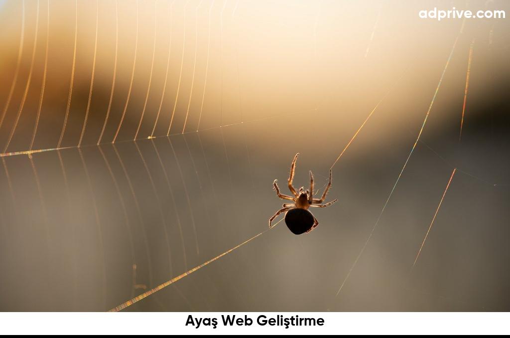 Ayaş Web Geliştirme6