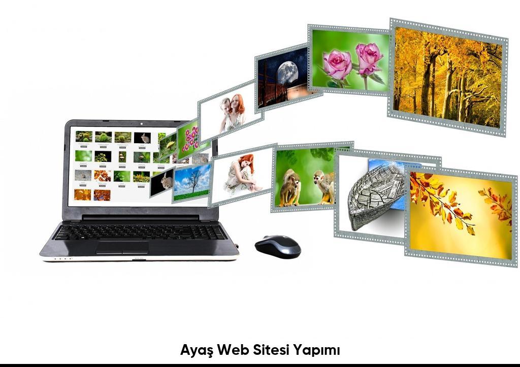 Ayaş Web Sitesi Yapımı6