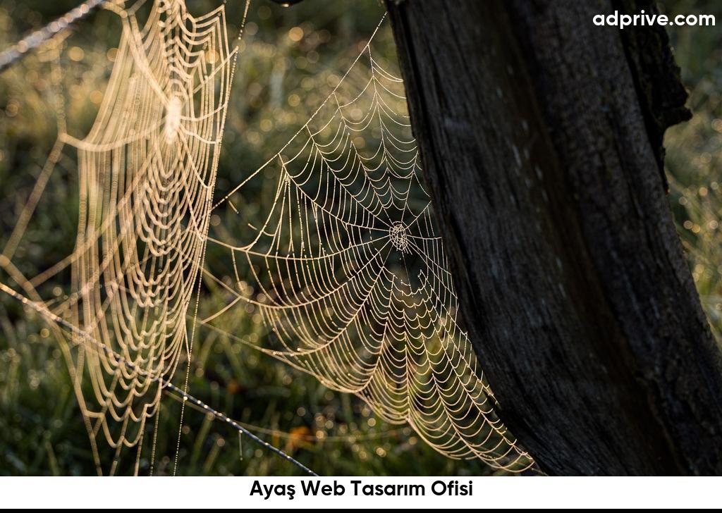 Ayaş Web Tasarım Ofisi6