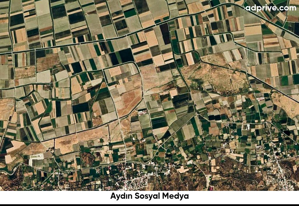 Aydin Sosyal Medya6