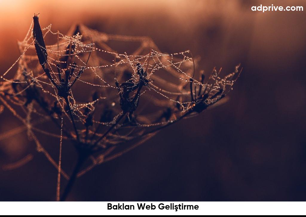 Baklan Web Geliştirme6