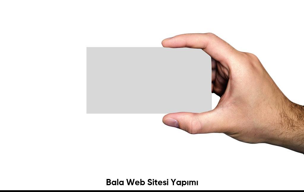 Bala Web Sitesi Yapımı6