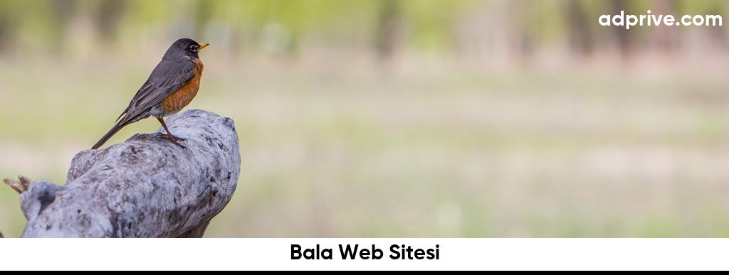 Bala Web Sitesi6