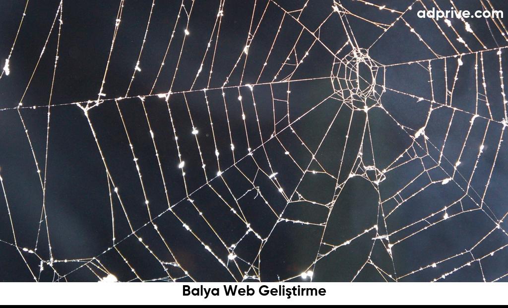 Balya Web Geliştirme6