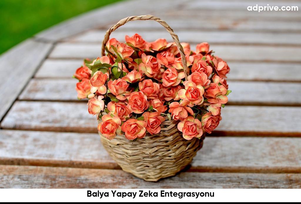 Balya Yapay Zeka Entegrasyonu6