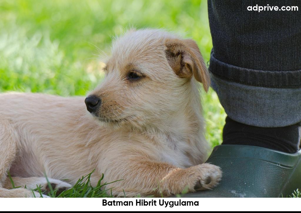 Batman Hibrit Uygulama6