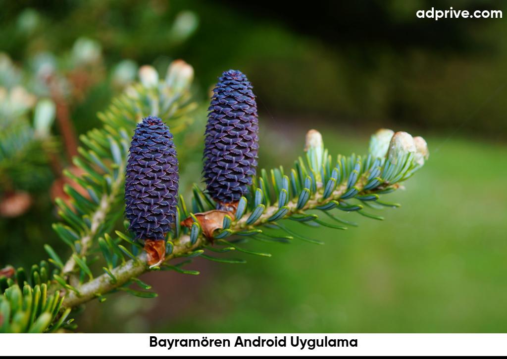 Bayramören Android Uygulama6