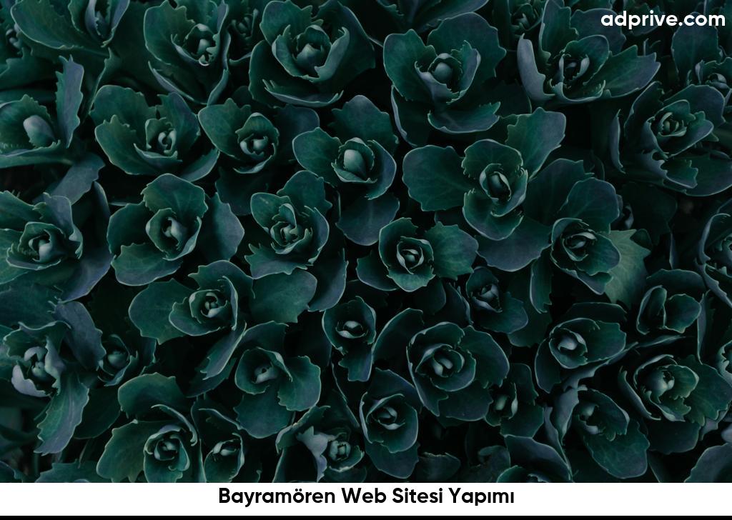 Bayramören Web Sitesi Yapımı6