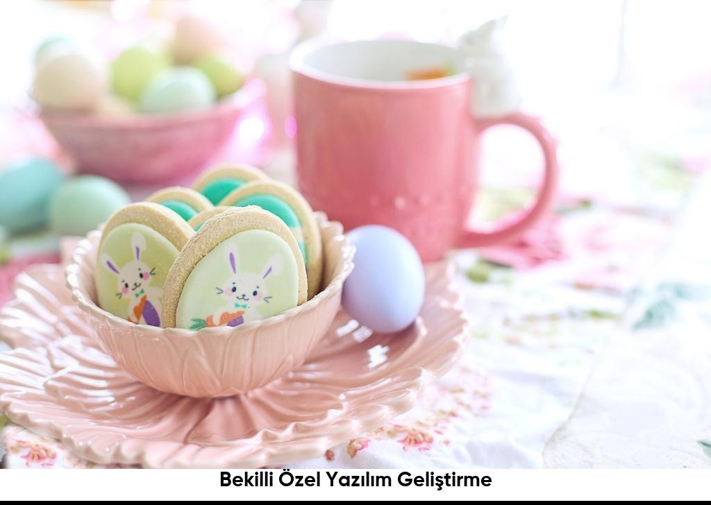 Bekilli Özel Yazılım Geliştirme6