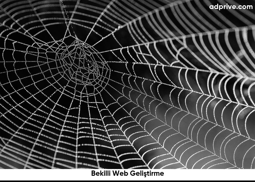 Bekilli Web Geliştirme6