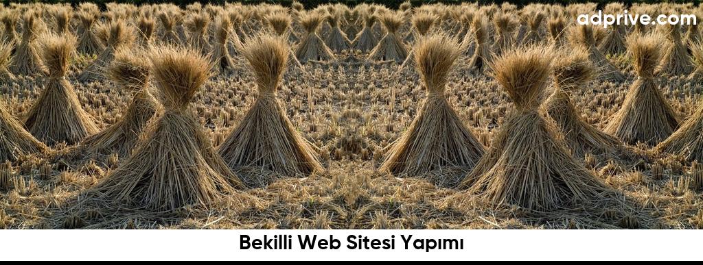 Bekilli Web Sitesi Yapımı6