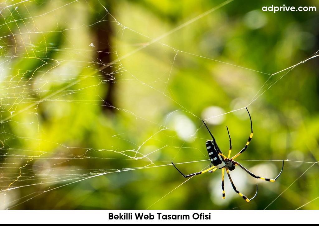 Bekilli Web Tasarım Ofisi6