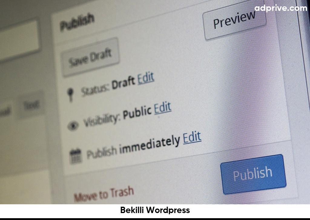 Bekilli Wordpress6