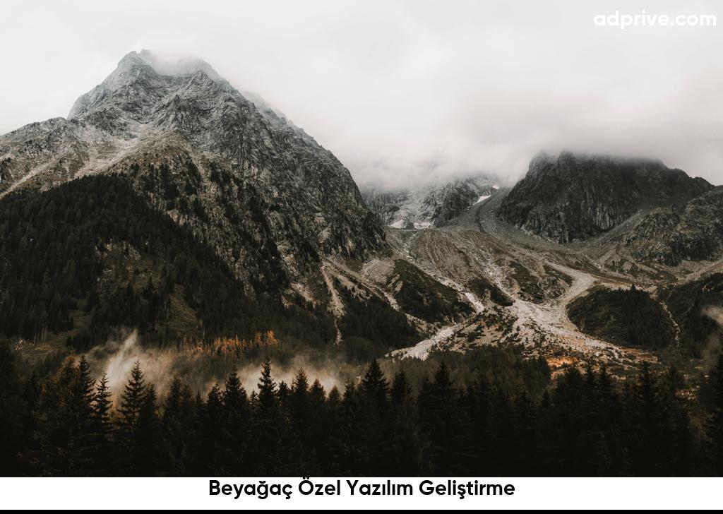 Beyağaç Özel Yazılım Geliştirme6