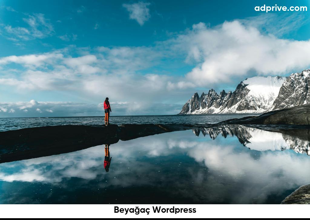 Beyağaç Wordpress6