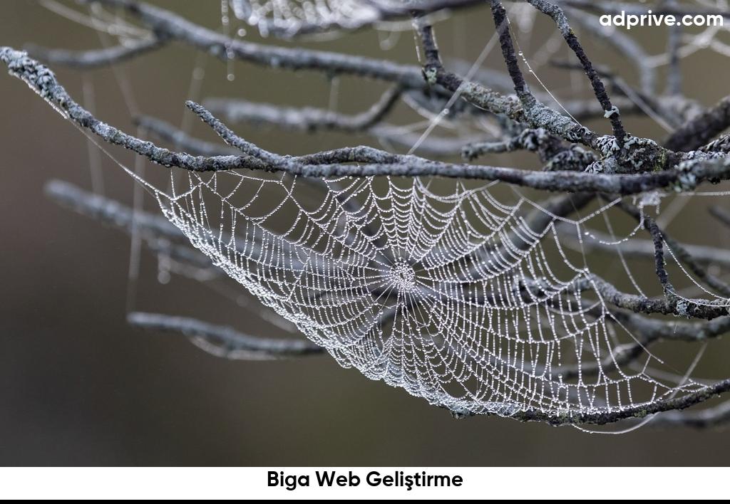 Biga Web Geliştirme6