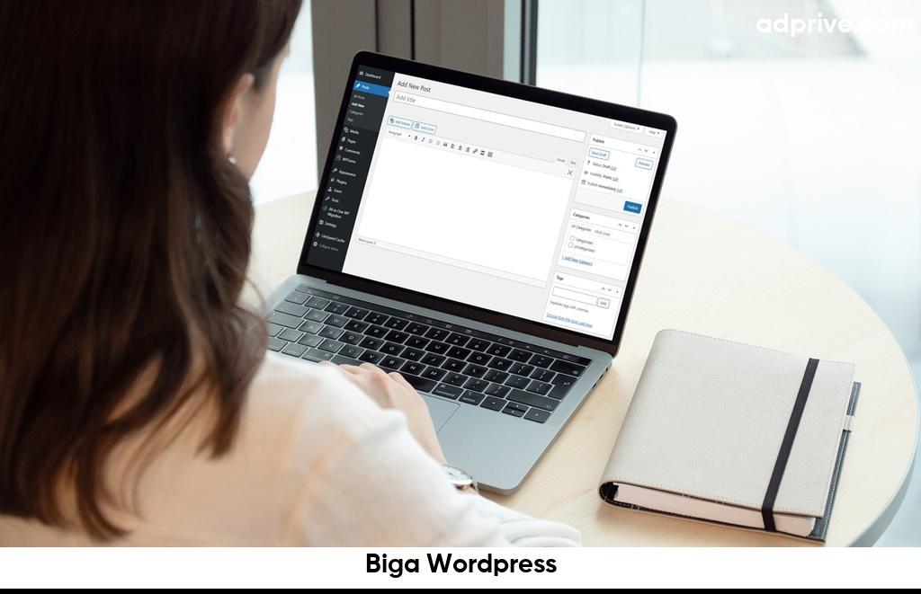 Biga Wordpress6