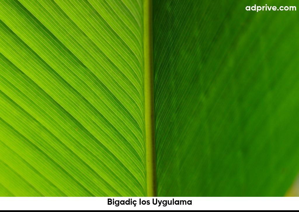 Bigadiç Ios Uygulama6