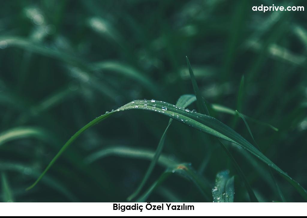 Bigadiç Özel Yazılım6