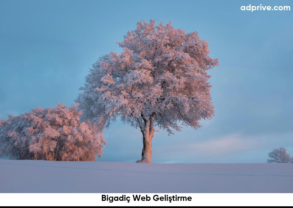 Bigadiç Web Geliştirme6