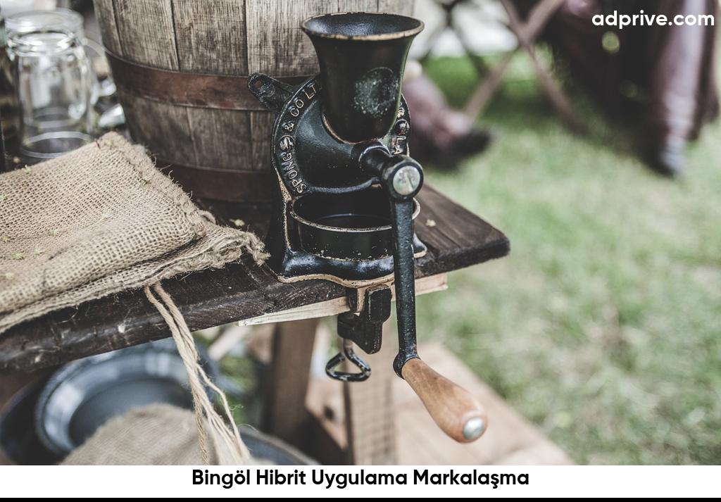 Bingol Hibrit Uygulama Markalasma6