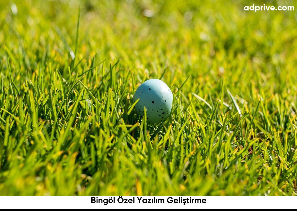 Bingol Ozel Yazilim Gelistirme6