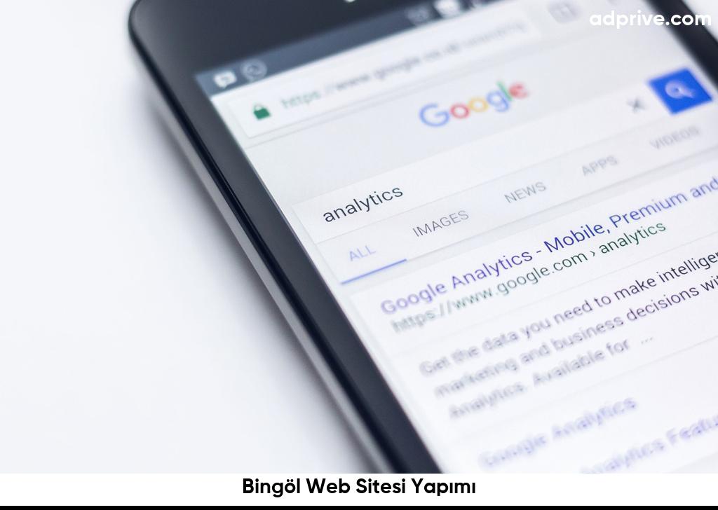 Bingol Web Sitesi Yapimi6